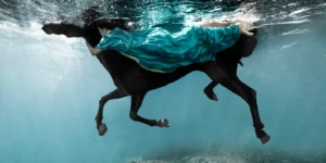 La obra de la fotógrafa Isabel Muñoz desembarca en Córdoba