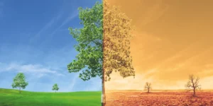 Córdoba será sede de una Conferencia Climática Internacional